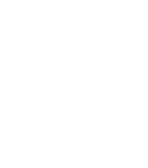 American Board of Plastic Surgery Logo